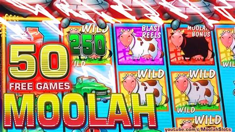 moolah casino!