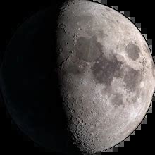 Moon Phase Tampa