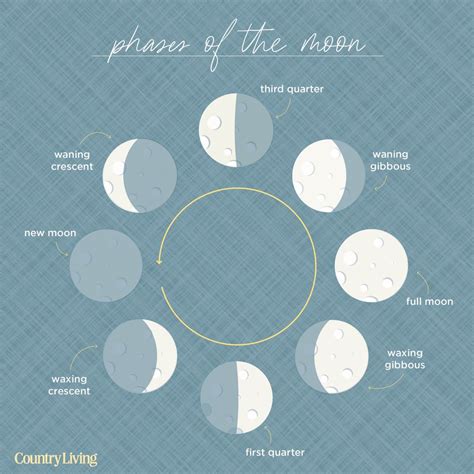 Moon Phases Lunar Phases Explained Drawing Of Phases Of Moon - Drawing Of Phases Of Moon