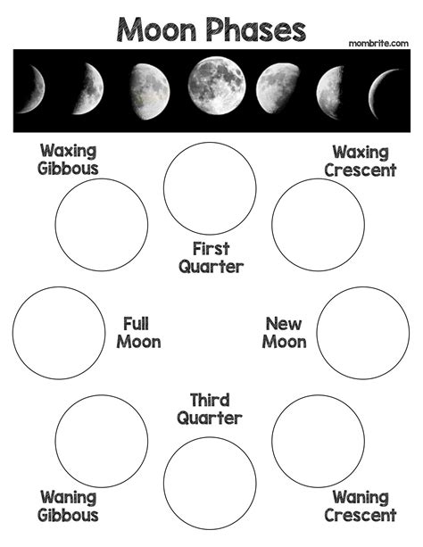 Moon Phases Worksheets Amp Free Printables Education Com 8 Phases Of The Moon Printable - 8 Phases Of The Moon Printable