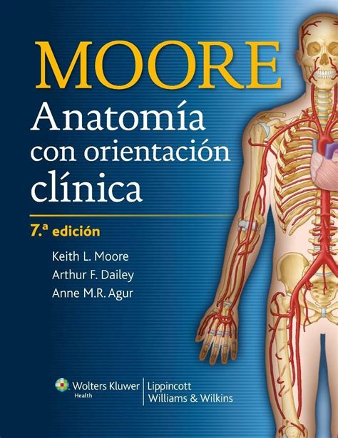 Moore Anatomia Pdf