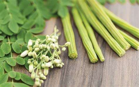 Moringa In Tamil