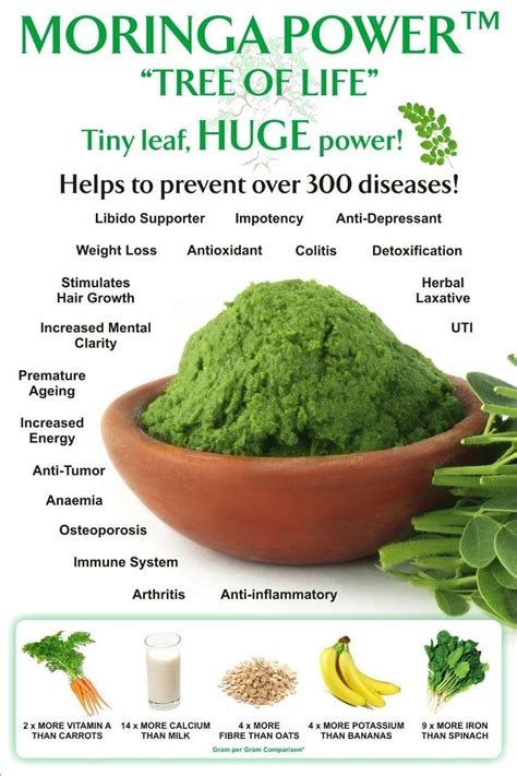 Moringa Medical Medium