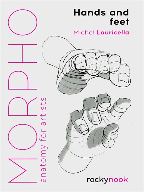 Morpho Morpho Anatomy For Artists