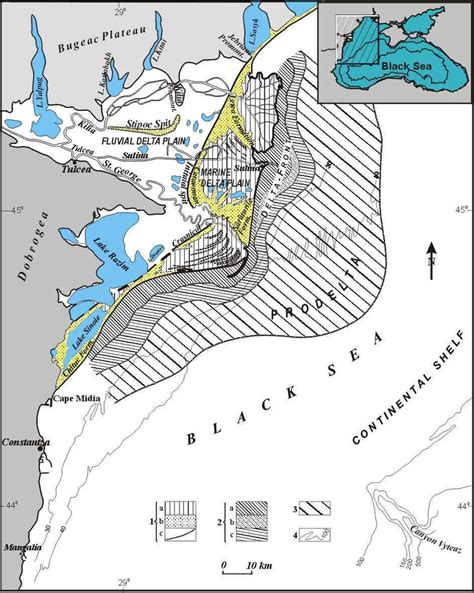 Read Morphological Analysis Of Danube Basin Black Poplars 