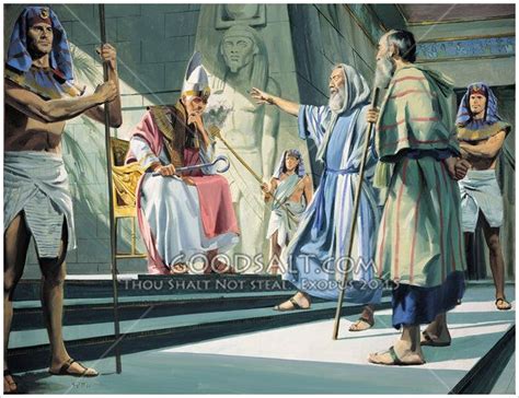 Moses Expects A King