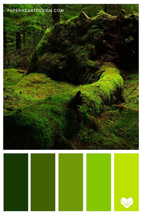 moss color
