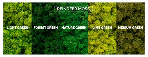 moss colors