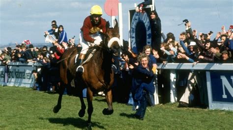 most grand national wins