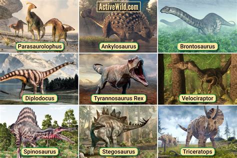 Most Popular Dinosaurs