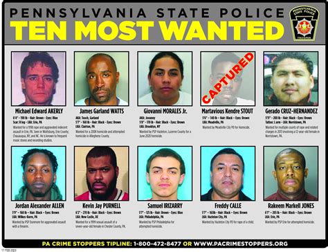 Most Wanted Most Wanted