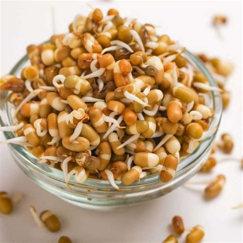 Moth Bean Flour
