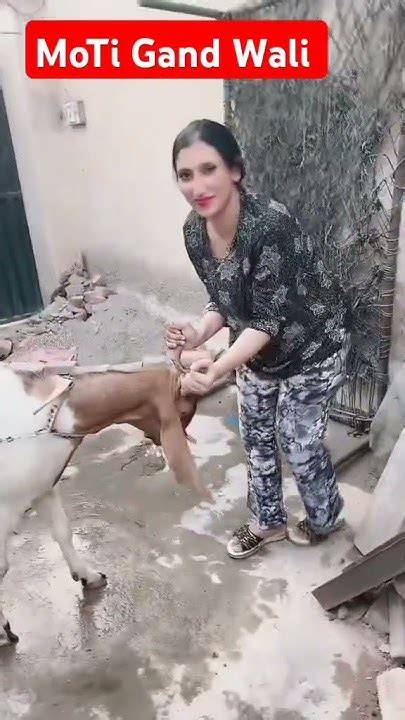 moti gand wali didi