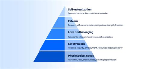 Motivation And Work Behavior