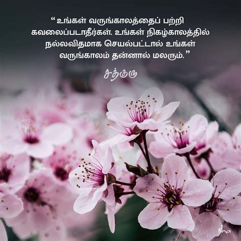 Motivational Tamil Proverbs