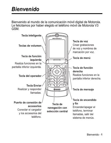 Full Download Motorola V3A User Guide 