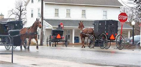 mount hope ohio