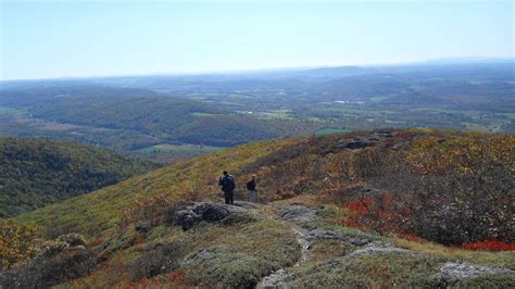 mount washington state forest
