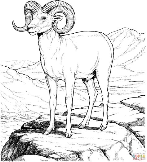 Mountain Animals Coloring Pages Coloring Cool Mountain Animals Coloring Pages - Mountain Animals Coloring Pages