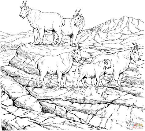 Mountain Animals Coloring Pages Print For Free Mountain Animals Coloring Pages - Mountain Animals Coloring Pages