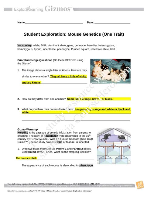 mouse genetics one traits gizmo answer key