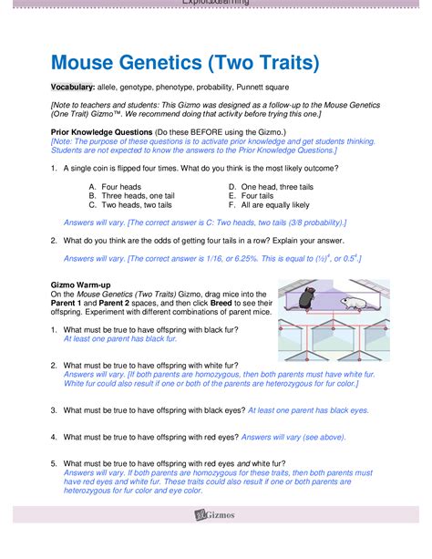 Mouse Genetics Two Traits Gizmo Answer Key
