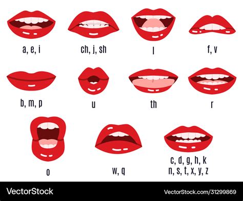 Mouth Pictures Of Letter Sounds D Sound Words With Pictures - D Sound Words With Pictures