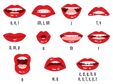 Mouth Pictures Of Letter Sounds L Sound Words With Pictures - L Sound Words With Pictures