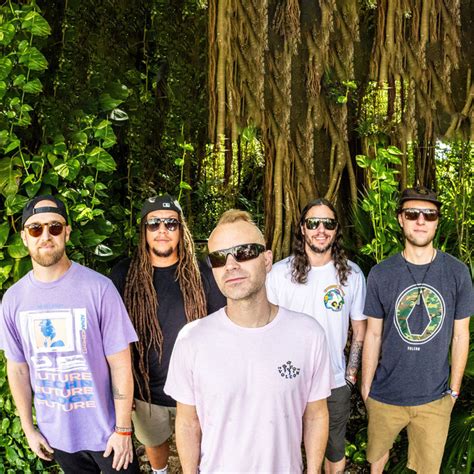 movement band biography