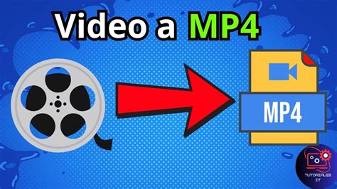 mp4