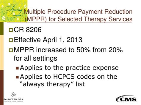 mppr for selected therapy services handout wps