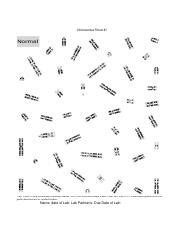 mr comet living environment laboratory manual answers