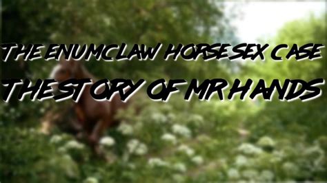 Mr Hands Horse