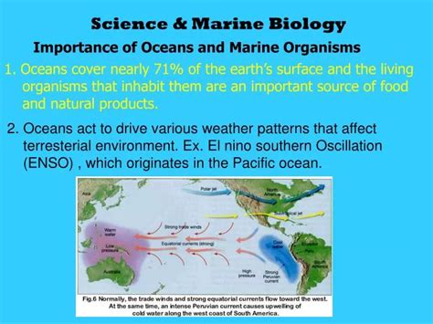 Mr Reillyu0027s Earth Science Amp Marine Sciences Cosmic Voyage Movie Worksheet Answers - Cosmic Voyage Movie Worksheet Answers
