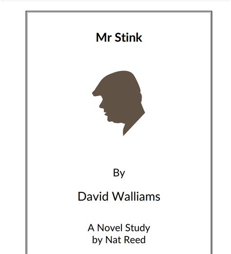 Full Download Mr Stink Novel Studies 