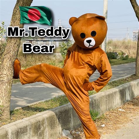 mr. teddy bear porn