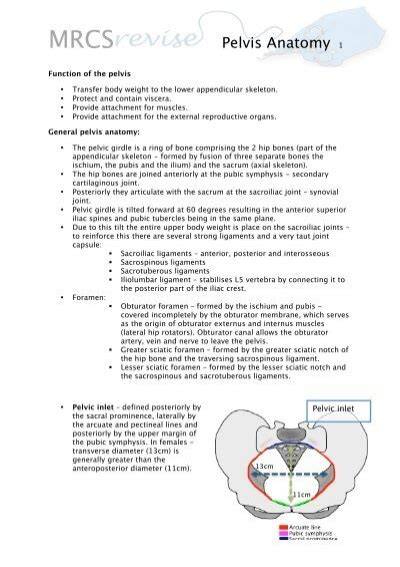 mrcs pelvis anatomy