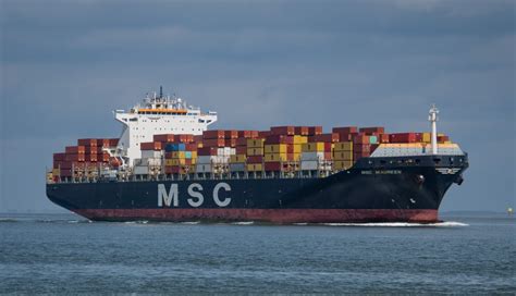 Msc Tracking Container