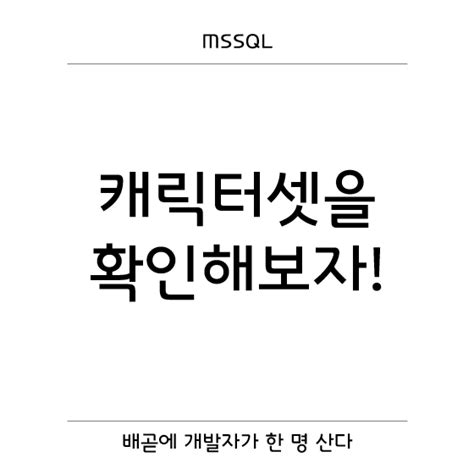 mssql 캐릭터셋 확인