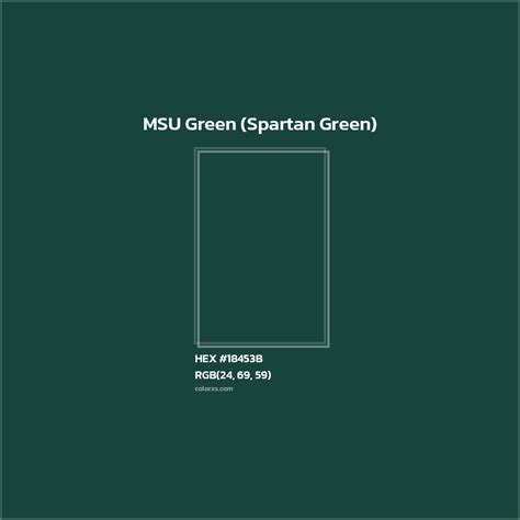 msu colors