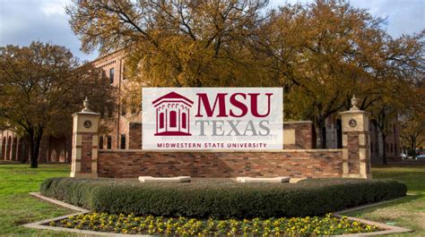 msu texas