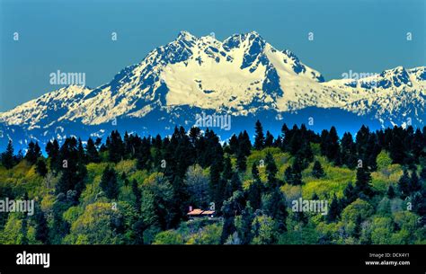 mt olympus washington