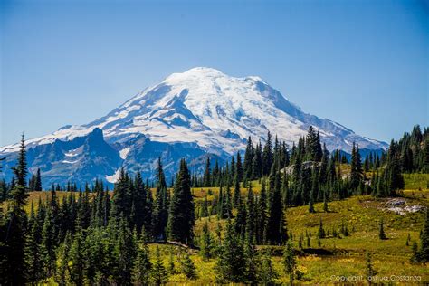 mt rainier washington