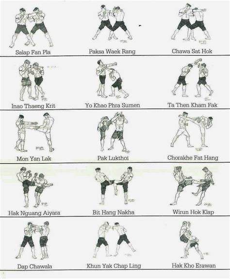 Muay Thai Fighting Techniques Wordpress