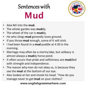 Mud English Edition