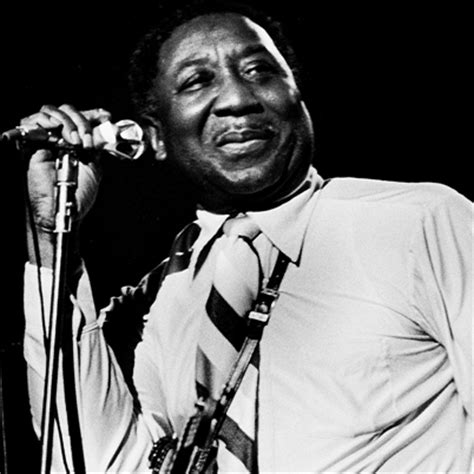 muddy waters wiki