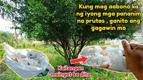 Muğla Hangi Bölgede