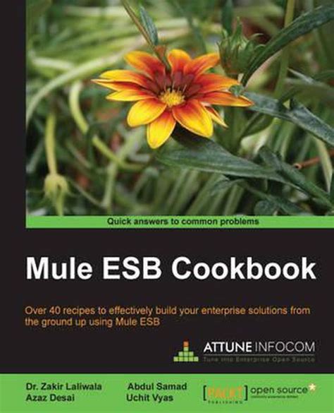 Download Mule Esb Cookbook 