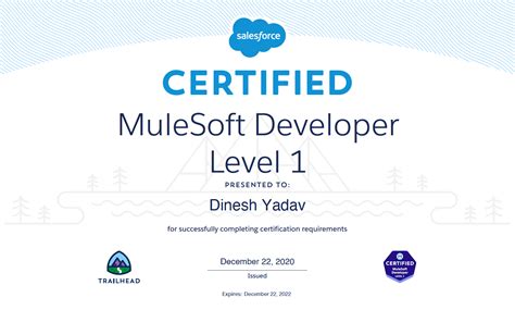 Mulesoft Certified Developer