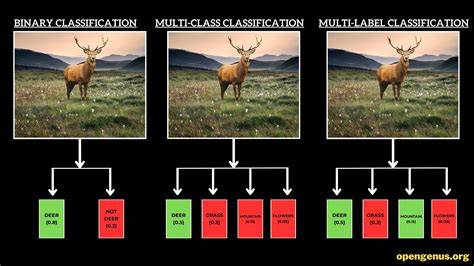 Multi Class Classification Binary